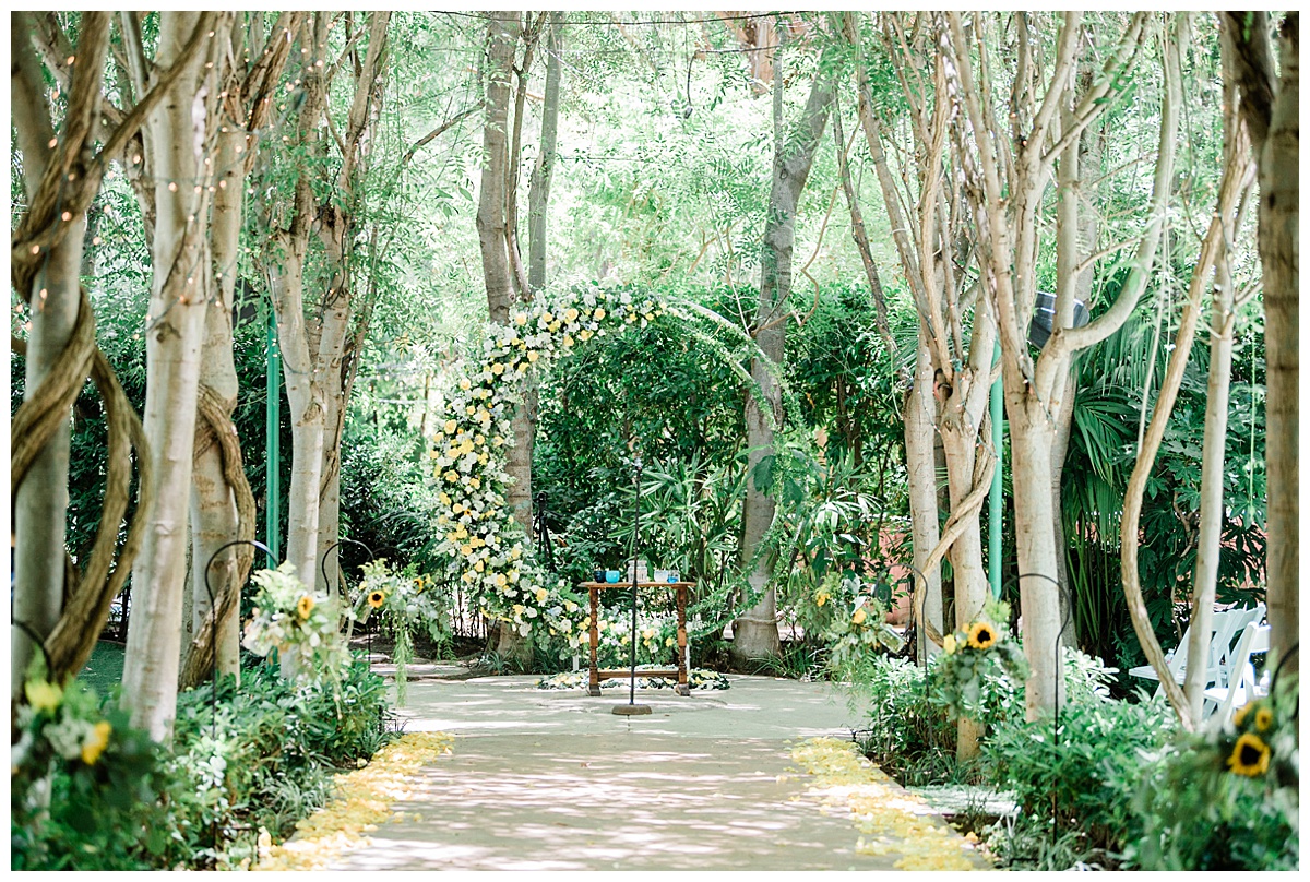green and yellow ceremony arch at Hartley Botanica