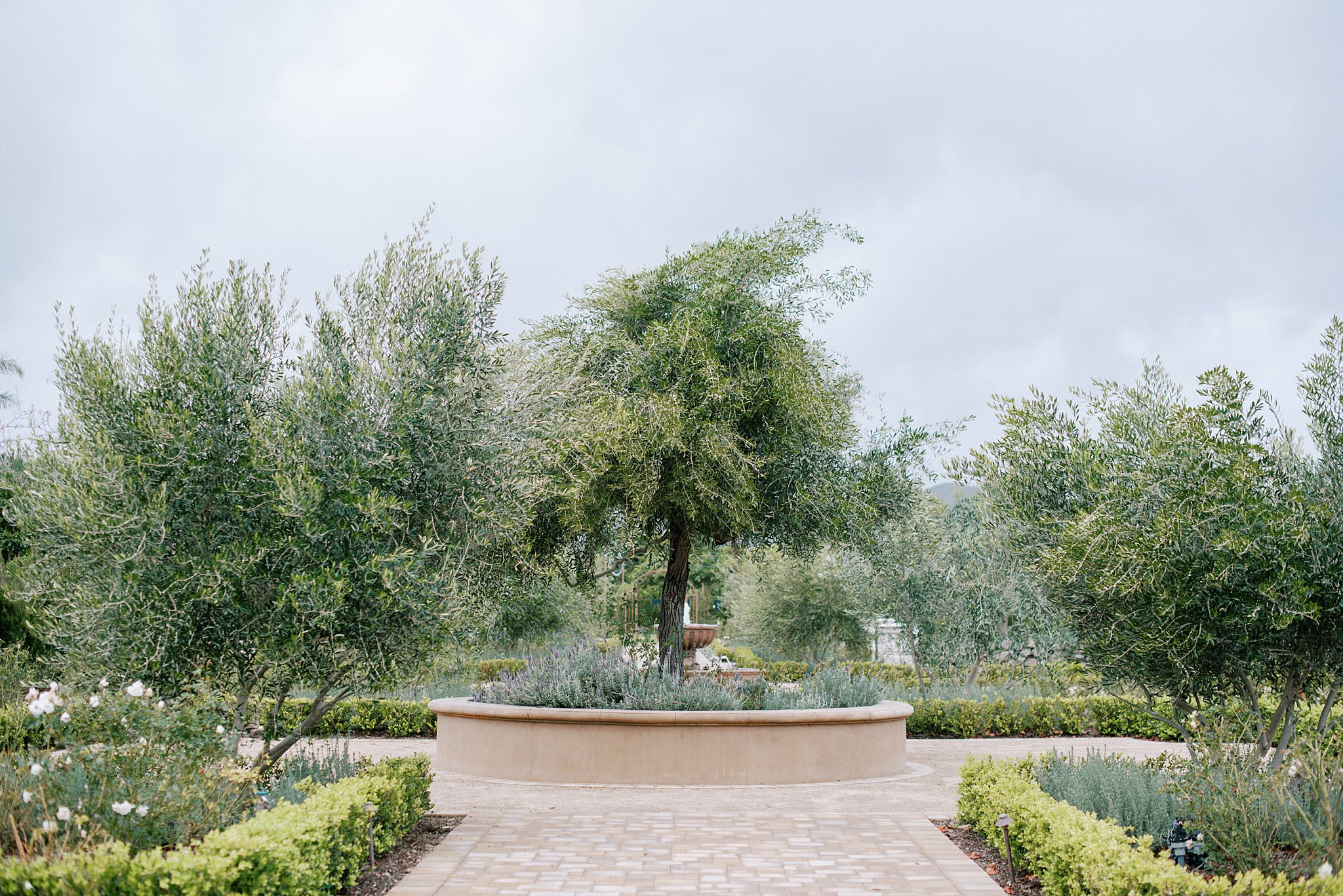 Roundabout entry at Tuscan Rose Ranch Wedding Venue