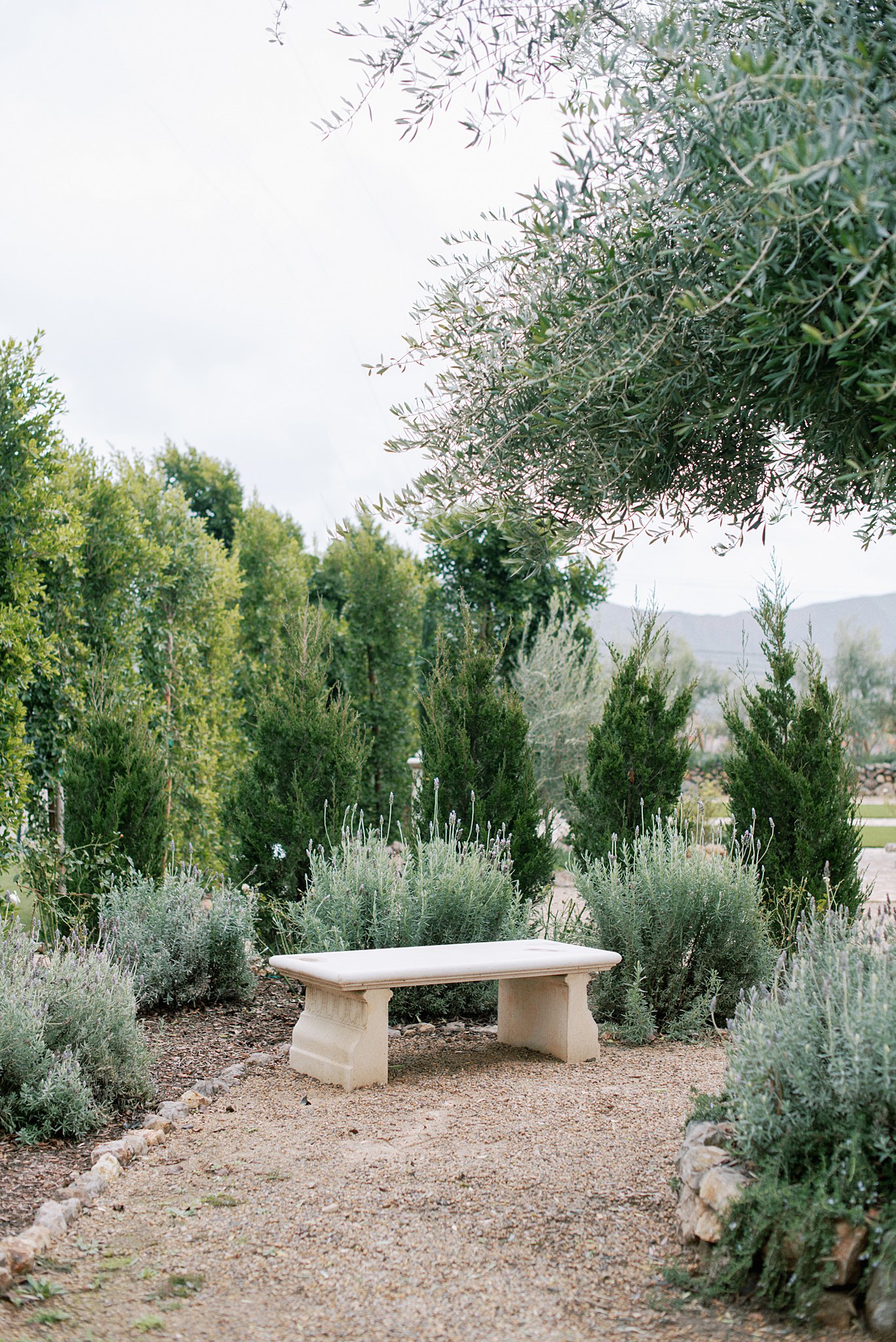 A stone bench surrounded by lavender and greenery is one of many idyllic photo locations across the venue at Tuscan Rose Ranch