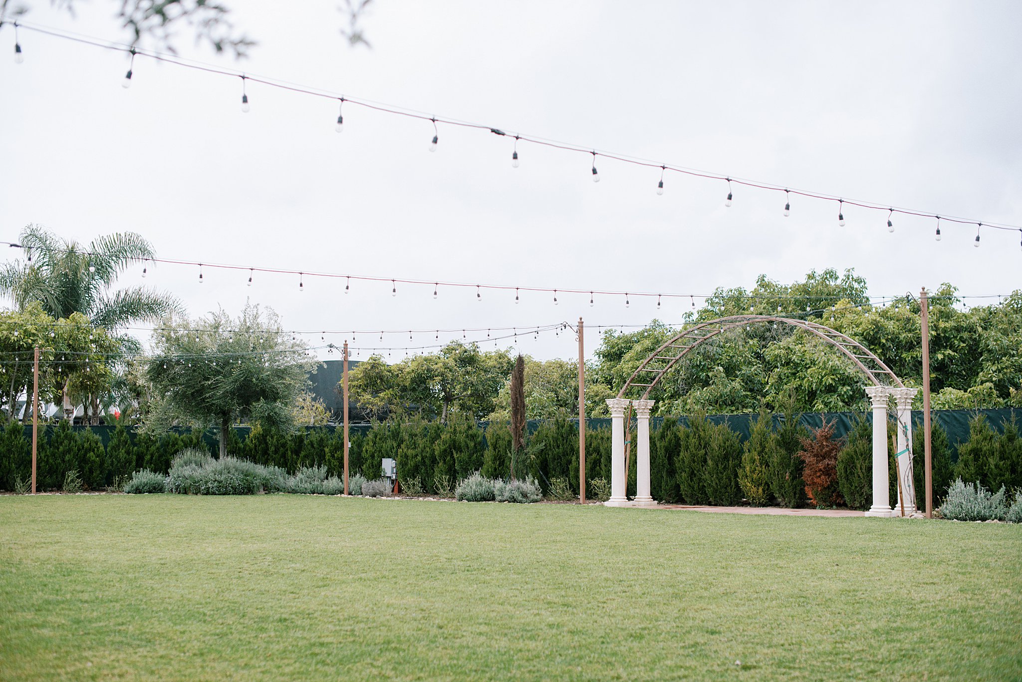 Market lights are strung across the top of the reception lawn at Tuscan Rose Ranch